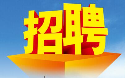 招聘公告