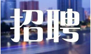 招聘公告