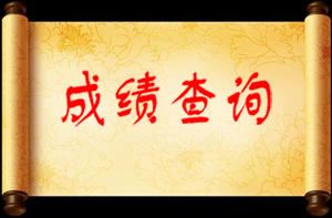 成绩查询