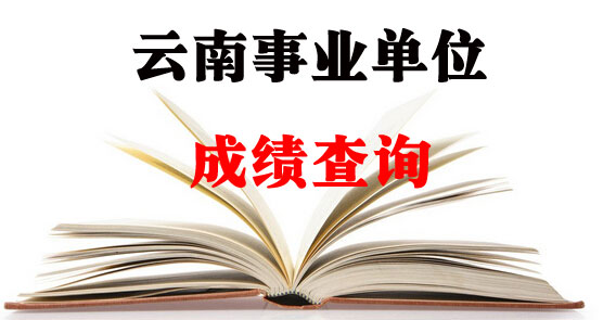 成绩查询